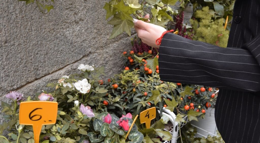 How to Choose Plants Based on Your USDA Zone