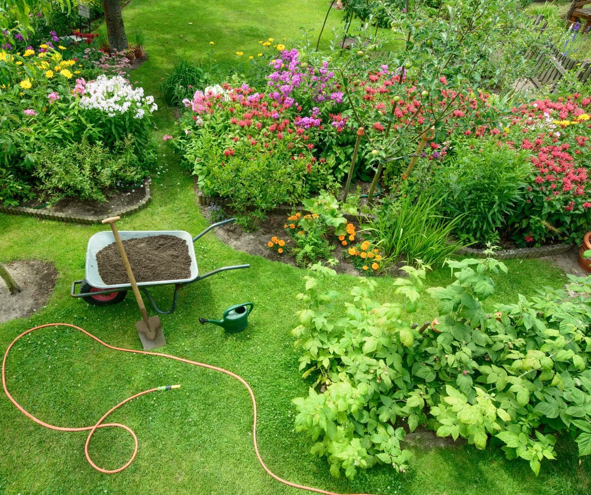 PlantoFlora - Home Page - Plant Care