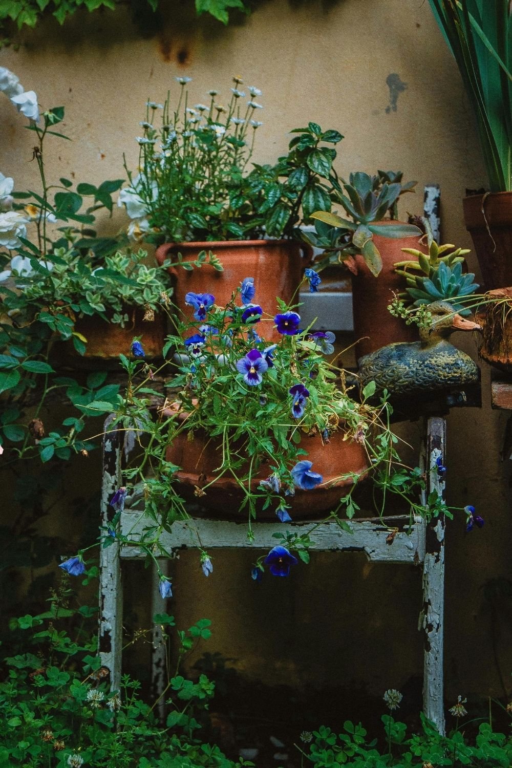 Plantoflora - About Us